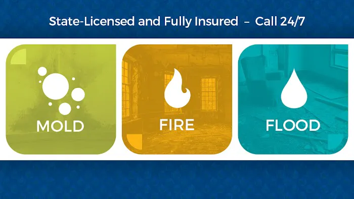 BioPure Restoration Picture 1