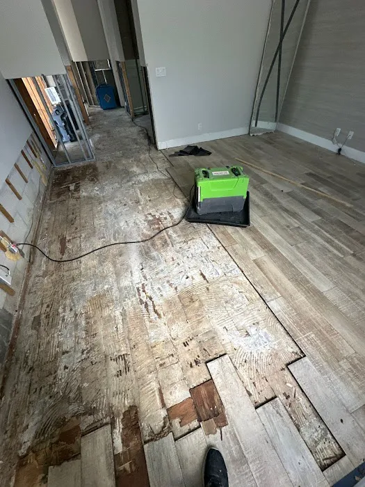 EES Restoration Picture 1