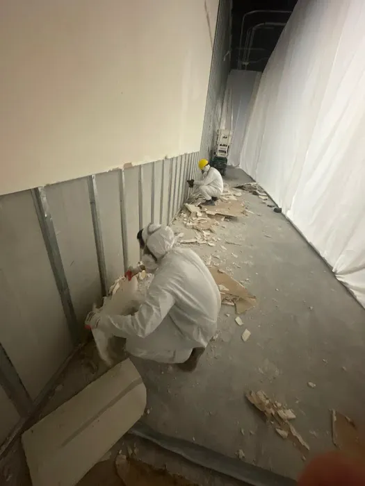 EES Restoration Picture 8