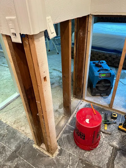 EES Restoration Picture 7