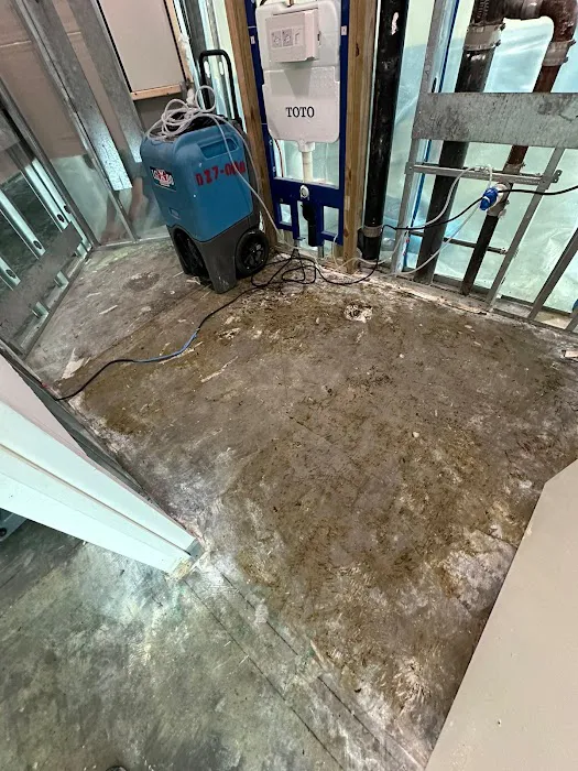 EES Restoration Picture 9