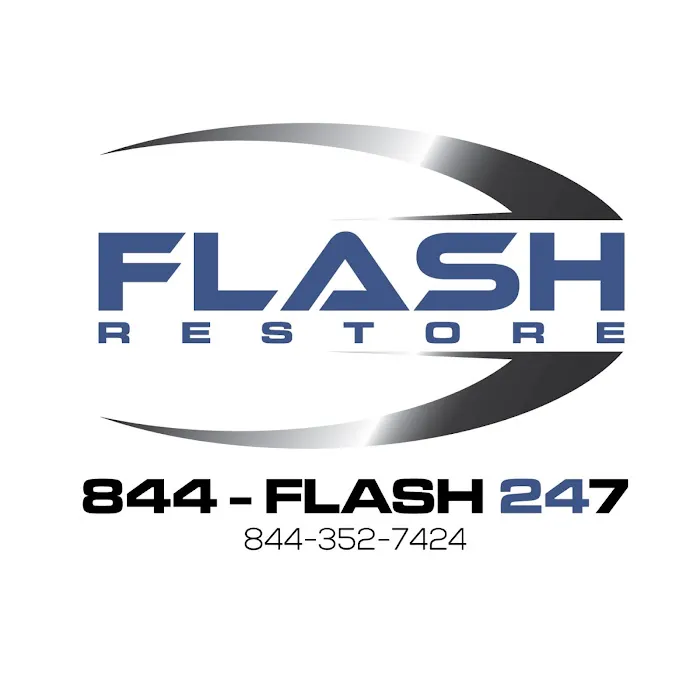 Flash Restore Picture 3