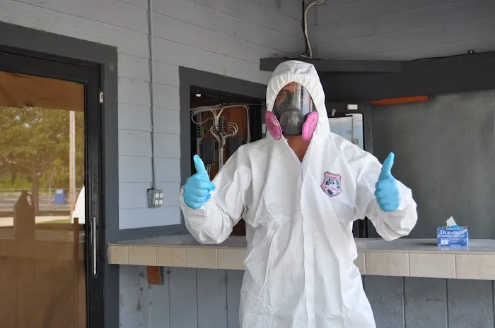 Baxter Restoration Picture 7