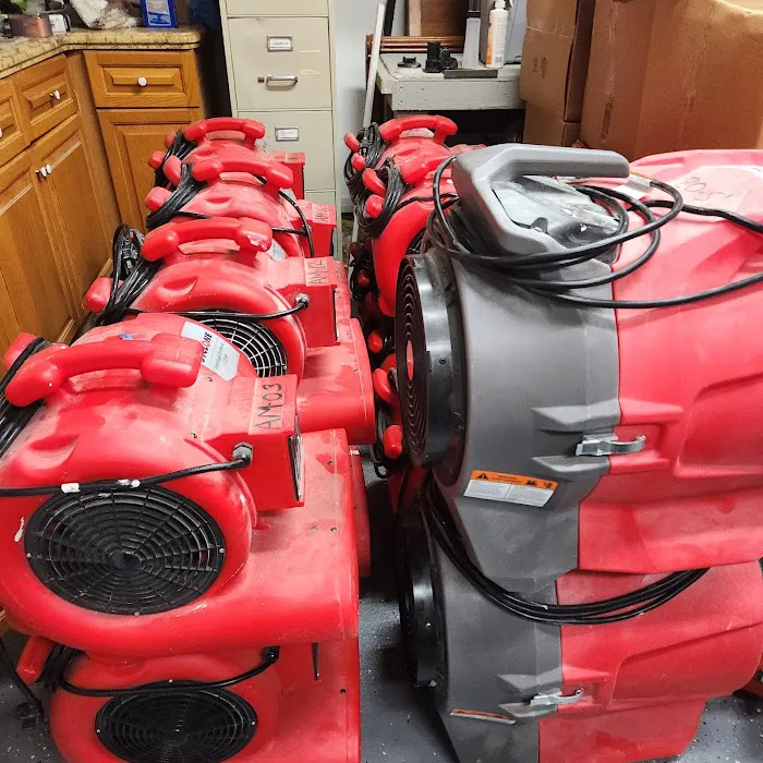 TROPICAL RESTORATION SERVICES Picture 8