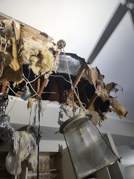 TROPICAL RESTORATION SERVICES Picture 7