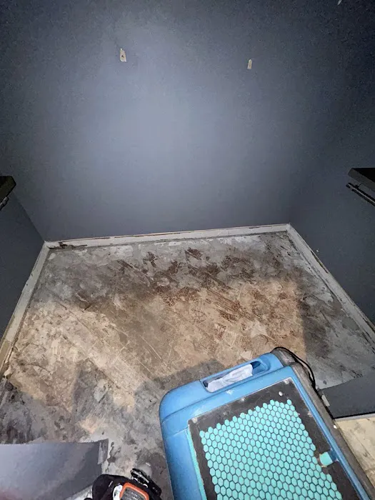 Mold Testers 561 Picture 5