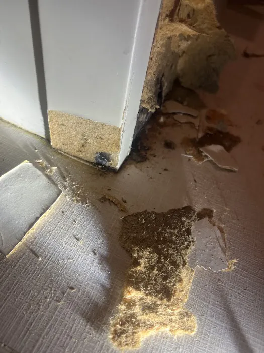 Mold Testers 561 Picture 4