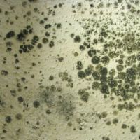 J & R Restoration Services Inc. ico