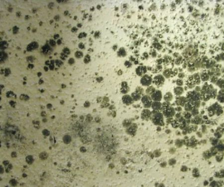 J & R Restoration Services Inc.