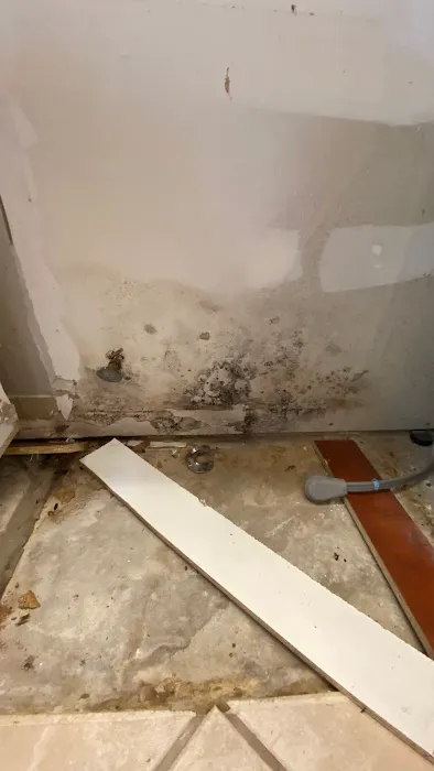 Altair Mold Testing and Remediation Picture 5