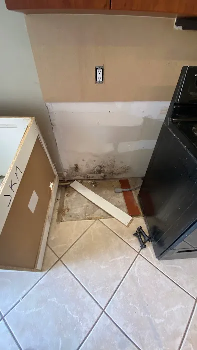 Altair Mold Testing and Remediation Picture 7