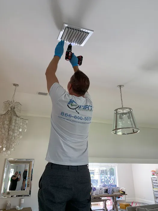 Mold Response Team Picture 3