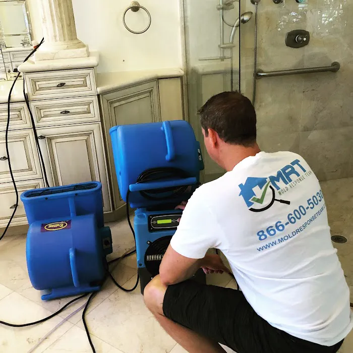 Mold Response Team Picture 8