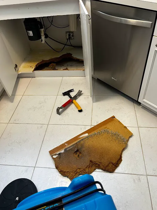 Mold Response Team Picture 7