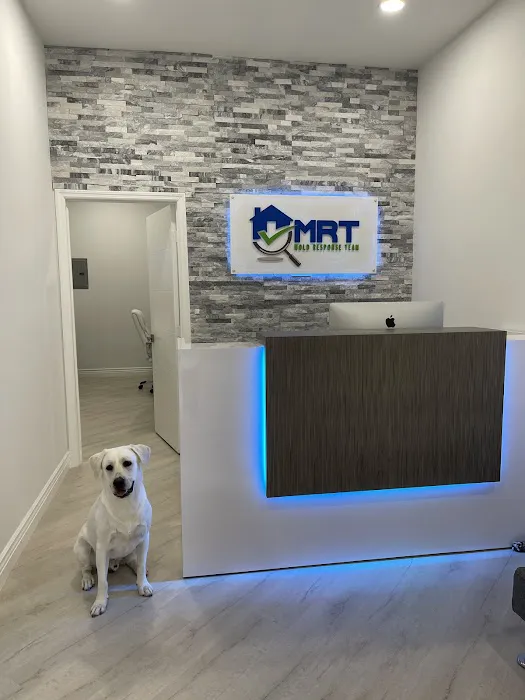 Mold Response Team Picture 10