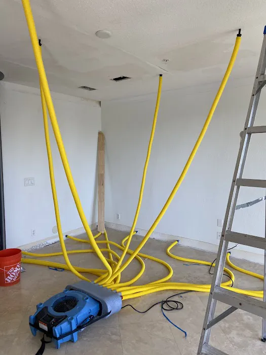 National Bio-Safe Picture 3