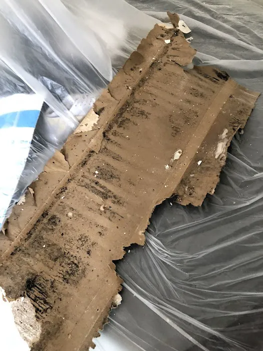 National Bio-Safe Picture 10