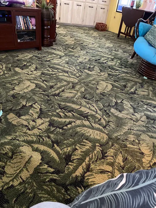 Stanley Steemer Picture 3