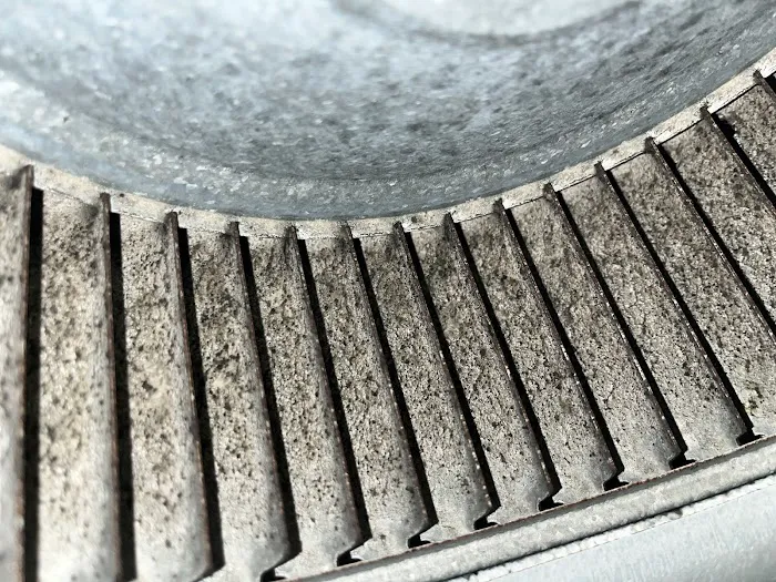 Stanley Steemer Picture 5