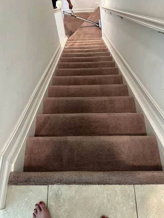 Stanley Steemer Picture 4