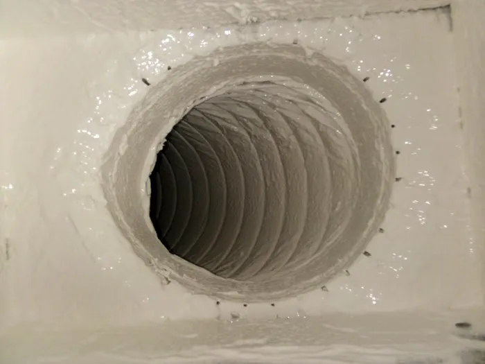 Stanley Steemer Picture 10