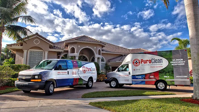 PuroClean Property Damage Restoration Picture 3