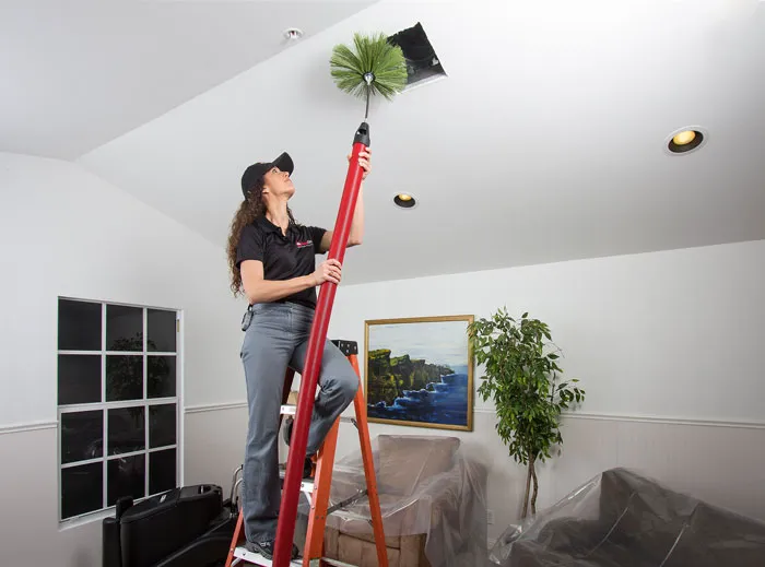 PuroClean Property Damage Restoration Picture 6