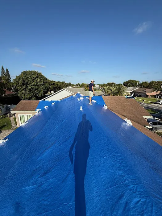 Orca Restoration LLC Picture 3