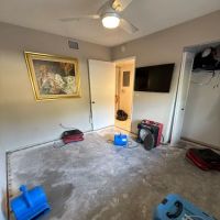 Orca Restoration LLC ico