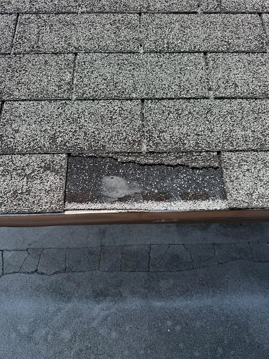 Orca Restoration LLC Picture 9