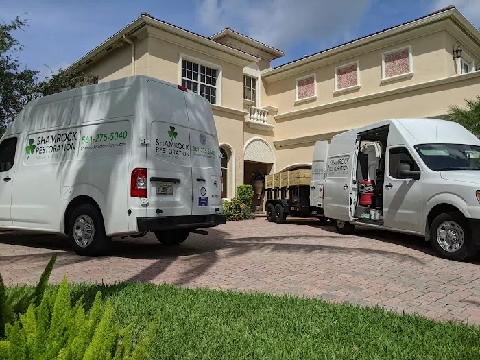 Shamrock Restoration Picture 3