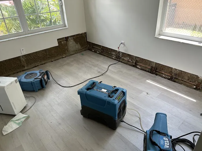 Shamrock Restoration Picture 10