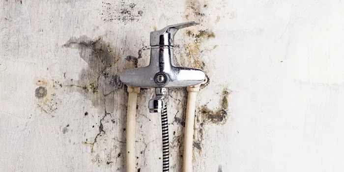 A Plus Water Damage Restoration Picture 2