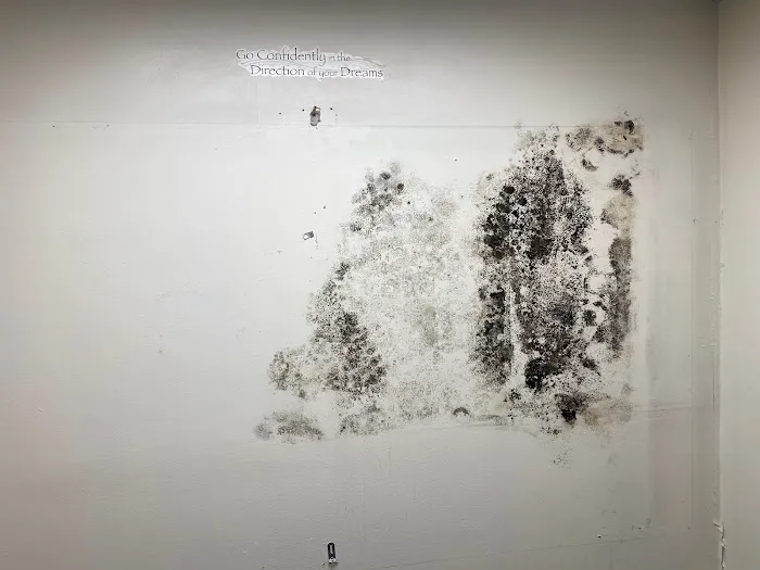 Mold Act of Boca Raton Picture 1