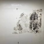 Mold Act of Boca Raton