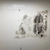 Mold Act of Boca Raton ico