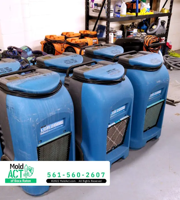 Mold Act of Boca Raton Picture 9