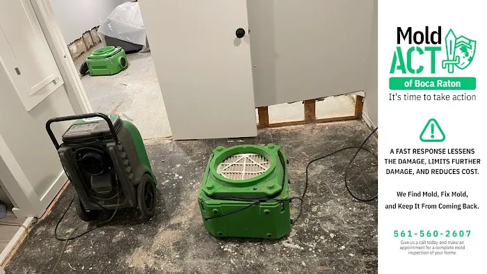 Mold Act of Boca Raton Picture 7