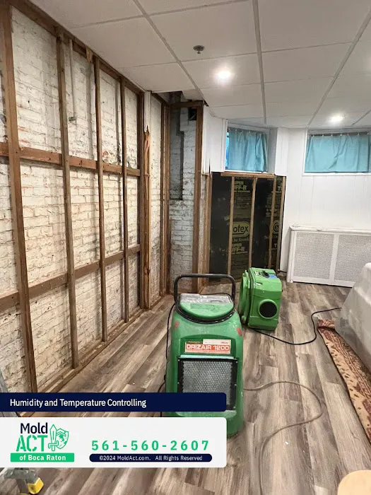 Mold Act of Boca Raton Picture 10