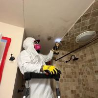 Mayday Restoration ico