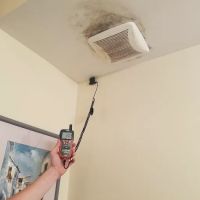 Clean Air Xperts Inc. ico