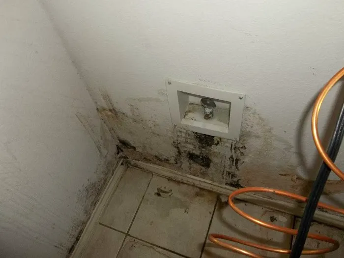 Clean Air Xperts Inc. Picture 9