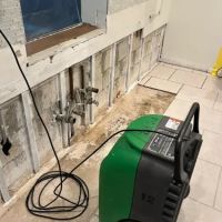 Non-Stop Restoration Services LLC ico