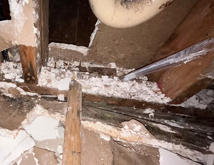 ADU Water Fire Mold Storm Picture 5