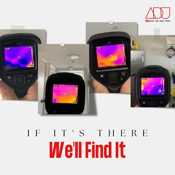 ADU Water Fire Mold Storm Picture 2