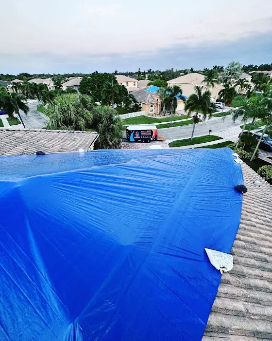 The Phoenix Restoration. Water Damage, mold Remediation, Biohazard clean up Picture 1