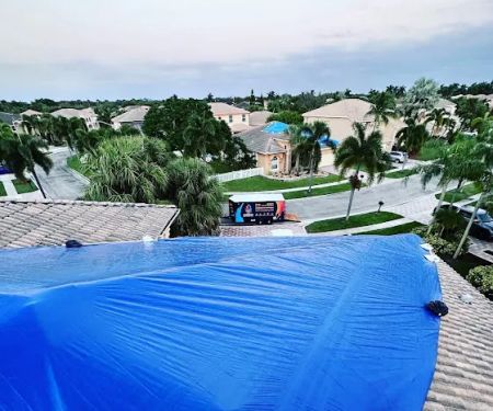 The Phoenix Restoration. Water Damage, mold Remediation, Biohazard clean up