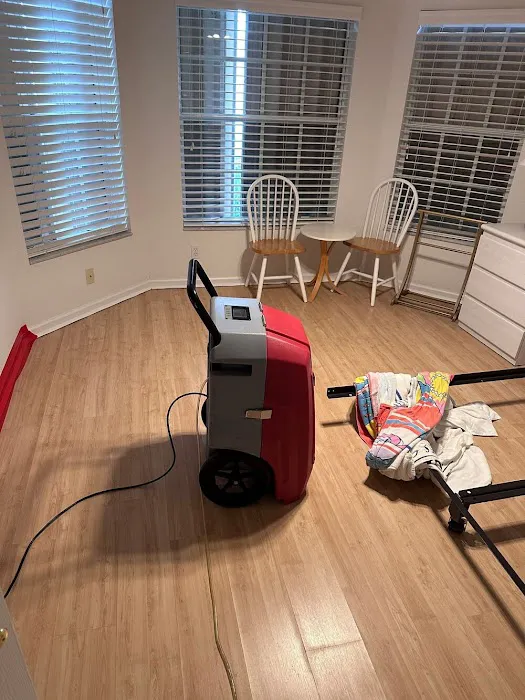 The Phoenix Restoration. Water Damage, mold Remediation, Biohazard clean up Picture 4