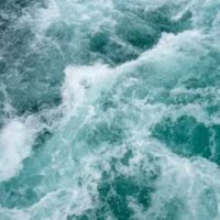 Water Damage Express ico