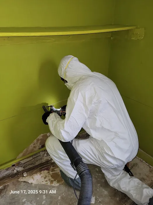 Coastal Restoration Specialists Picture 9